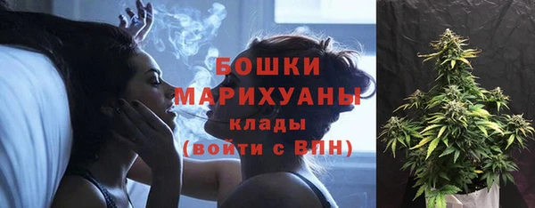ALPHA-PVP Елизово