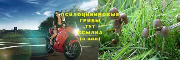 экстази Абинск