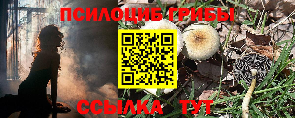 Псилоцибиновые грибы MAGIC MUSHROOMS Великий Новгород