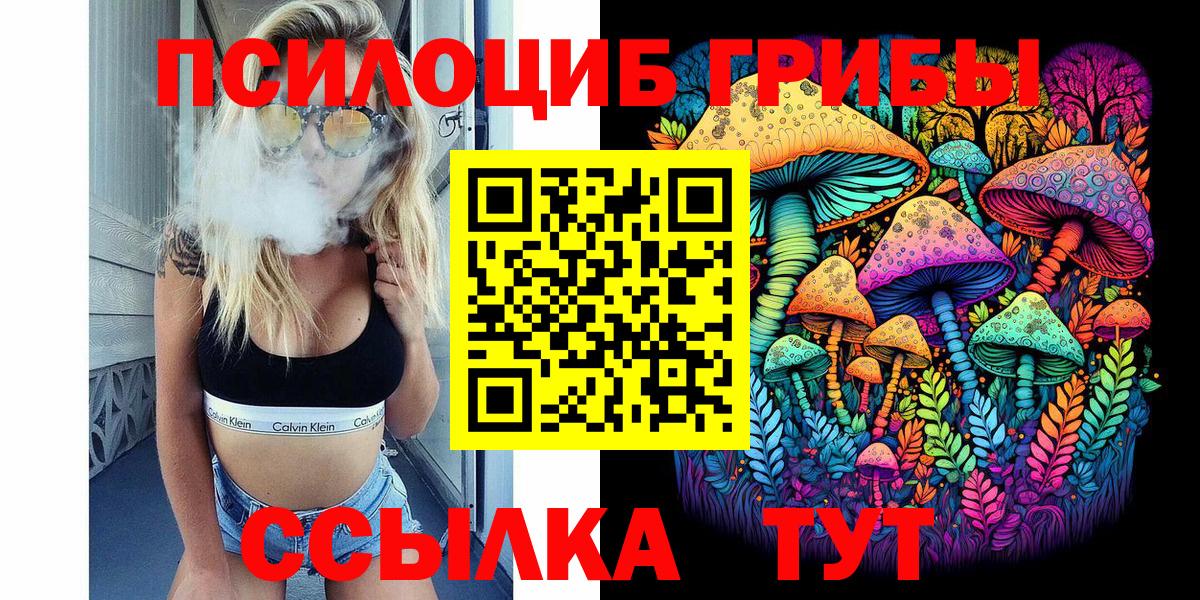 Великий Новгород  Галлюциногенные грибы прущие грибы  Вход с VPN 